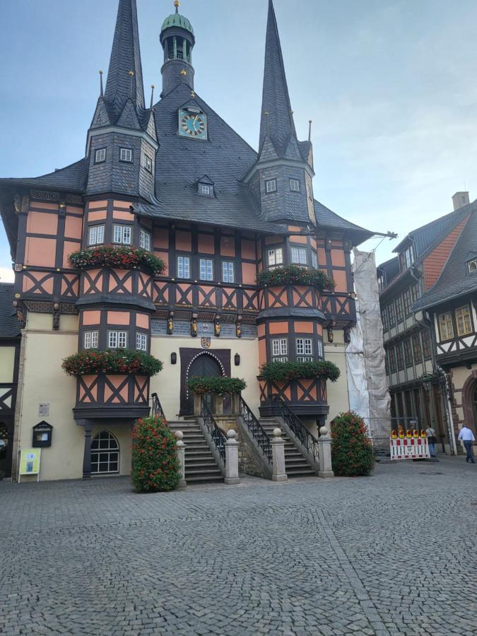 Appartement Zur Bergoase Mi Schwimmbad Hohegeiß Kültér fotó