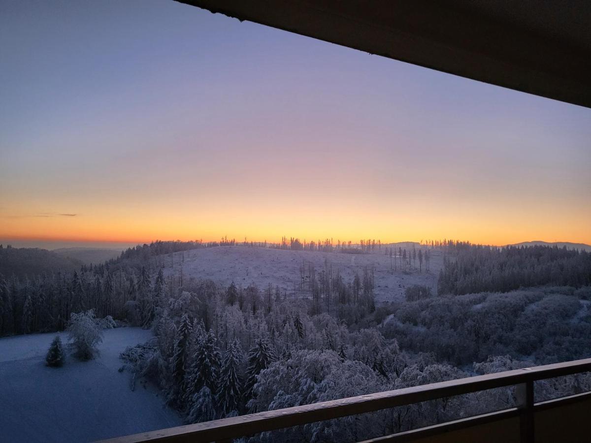 Appartement Zur Bergoase Mi Schwimmbad Hohegeiß Kültér fotó
